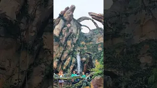 Avatar Flight Of Passage Ride Themed Area | Animal Kingdom - Disney World #shorts