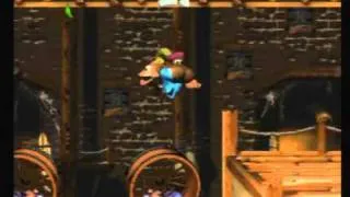 DKC3 105% Speedrun Segment 9