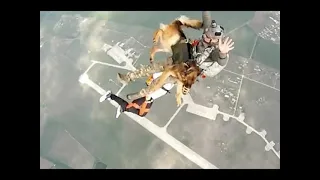 It's gonna be a ruff landing! Russia's dogtroopers undergo parachute training from 13,000ft