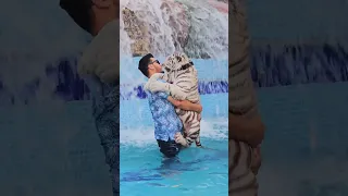 9 Months Old Rare White Tiger in the Pool | Nouman Hassan |