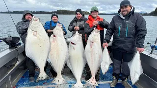 7 Days Fishing & Exploring Remote Alaska- Hunting Wild Steelhead & Halibut