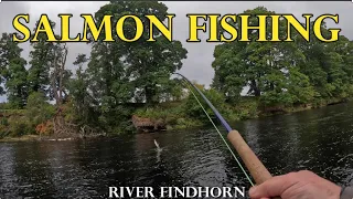 SALMON FISHING | River Findhorn | 2023 | Summer & Autumn | Scotland