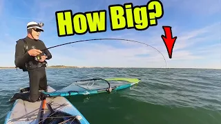 Fishing.. with a difference!! ..Windsurf edition