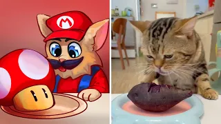 😂Cat Memes: Mario Cat 👻 FUNNY HALLOWEEN ANIMALS 🎃