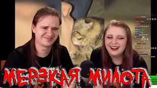 Топ Моменты c Twitch|КУРТКА ЗА 25к 😂|Братишкин Пугается|Алиса VS Стримеры | РЕАКЦИЯ НА Twitch WTF|