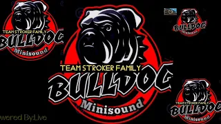 KOROKOKO DISCO2021&2022  BULLDOG MINISOUND TEAM STROKER