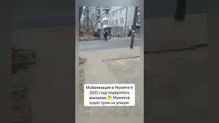 Мобилизация по-украински 2023.