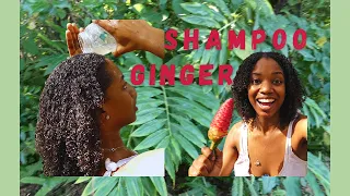 Washing My Hair With Shampoo Ginger (Zingiber Zerumbet)