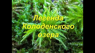 В поисках #Колоденского #чудовища