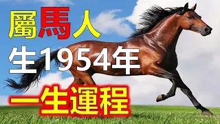 1954年的屬馬人，到了2024年的實際年齡是70歲，甲午馬被稱為雲中之馬，屬馬人雖然交友廣泛，但在一生受貴人幫助有限，但屬馬人在險境時常會遇見貴人搭救，屬馬人關鍵救命時才遇貴人使屬馬人一生成就較小。