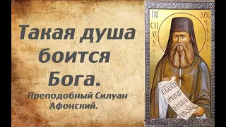 Такая душа боится Бога. Преподобный Силуан Афонский.