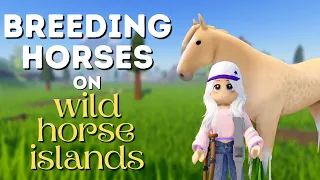 Breeding horses on Roblox - Wild Horse Islands