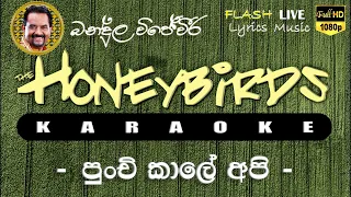 Punchi Kale Api Sindu Karaoke (Without Voice) පුංචි කාලේ අපි කැරෝකේ