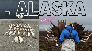 ALASKA MOOSE SHEDS PART 2 (BIG STUFF)