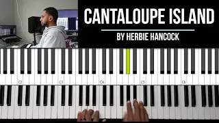 Cantaloupe Island - Herbie Hancock(James Douglas)