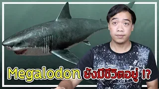 หลอนสุดสัปดาห์ Ep.78 ฉลามยักษ์ " Megalodon " อยู่มีชีวิตอยู่ !!??