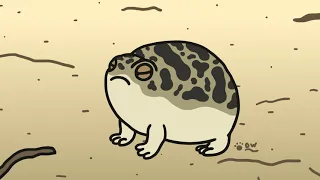 Smol, Angry (Squeaky) Desert Rain Frog- Animated