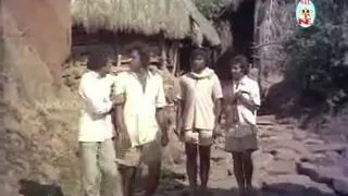 Janma Needida - Paduvarahalli Pandavaru (1978) - Kannada