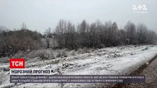 Погода в Україні: тріскучі морози вдарять по всіх областях | ТСН 19:30