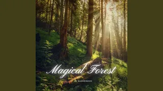 Magical Forest