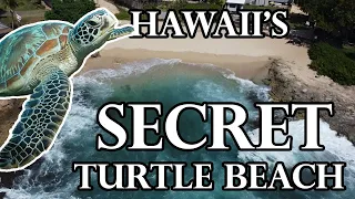 Secret Turtle Beach in Hawaii