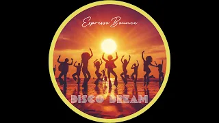 Disco Dream / Funky House & Disco Mix 2024