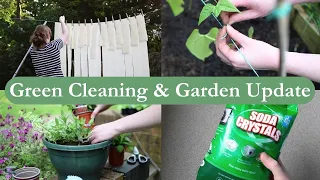 DIY Green Cleaning Recipe to Remove Mould and Garden Update l Frugal Living Vlog