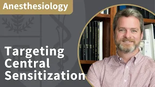 Translational Pain Research: Targeting Central Sensitization | Anesthesiology Grand Rounds