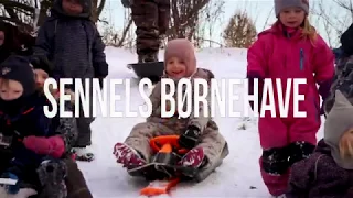 Sennels Børnehave - Fjord skov og fællesskab