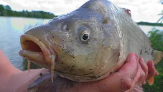 Рыбалка . Карп на поплавок и ловля на разные пружины, народные прикормки. My fishing