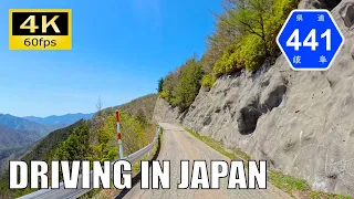 【Driving in Japan】Gifu Prefectural Route 441 : Ochiai - Osaka [Insta 360 Ace Pro 4K60P]