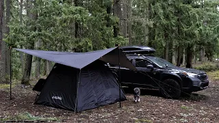 Blackdog Pop-Up Instant Tent Camping in the Rain with Pepper / Subaru Outback Wilderness