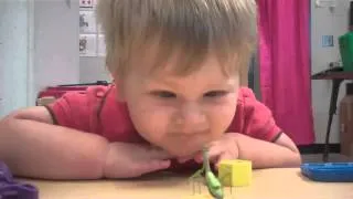 Praying Mantis Attacks Baby's Face