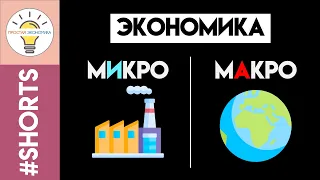 Отличие микро и макроэкономики #Shorts