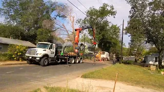 Pine removal with knuckleboom