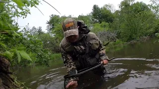 (TROUT FISHING) Small PA Stream With A (BIG SURPRISE) #mepps #fishing #troutfishing