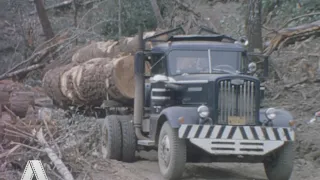 Loggers in Northern California, 1962 - 8mm film