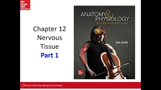 (BC BSC 2085) Chapter 12 Nervous Tissue FT Part 1