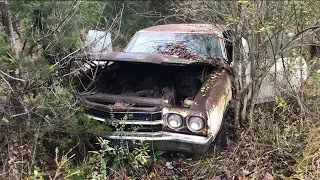 MYSTERY LS6 SS454 1970 CHEVELLE  WAS DRIVEN INTO THE WOODS AND ABANDONED!!!