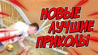 😂Я РЖАЛ ДО СЛЕЗ | ПРИКОЛЫ ЗА ФЕВРАЛЬ | FUNNY MOMENTS 2023 | 13 МИНУТ СМЕХА! | #383