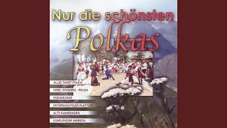 Rosamunde/ Stachus Polka/ Polka Voller Schwung
