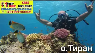 Экскурсия на остров Тиран, Sharm El Sheikh.