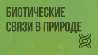 Биотические связи в природе. Видеоурок по биологии 9 класс