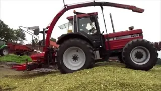 Case IH 1455 XL, Maishäckseln macht Spass !!! (Sound)