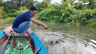 PANEN IKAN LAIS & IKAN BAUNG SAAT BANJIR