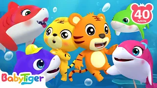 Animal Dance Moment🎶🐯🦈Baby Shark | Animals Songs & Nursery Rhymes | Educational Songs - BabyTiger