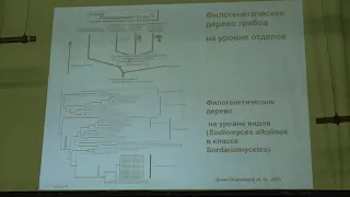 Кураков А. В. - Низшие растения - Микология (наука о грибах)