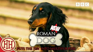 Shouty Man: Roman Dog! | Rotten Romans | Horrible Histories