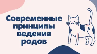 Современные принципы ведения родов | Лекции по акушерству для студентов и врачей