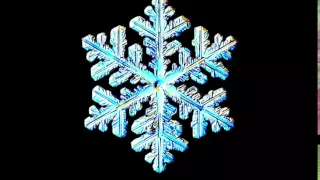 Футаж  Снежинки под микроскопом   Footage  Snowflakes under a microscope     000818